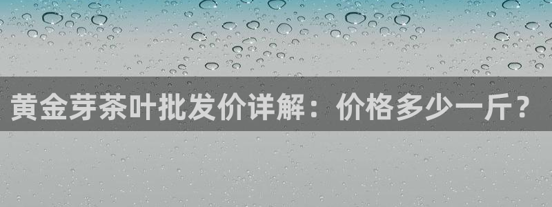 龙八国际代理登陆
