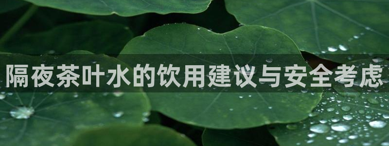 龙八国际娱乐pt老虎机