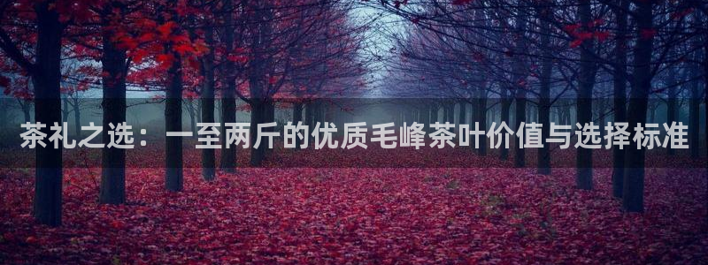 龙八国际老虎机