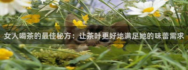 龙八国际老虎