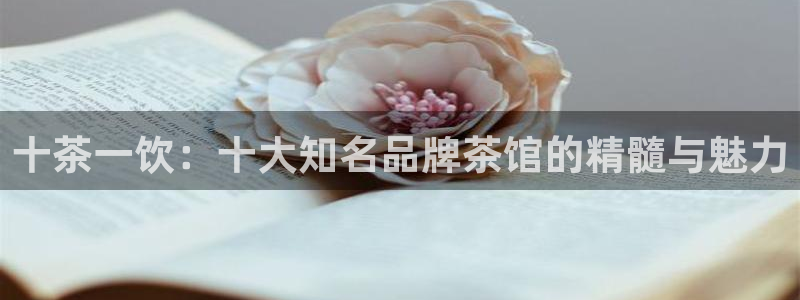 龙八国际app官方下载手机端