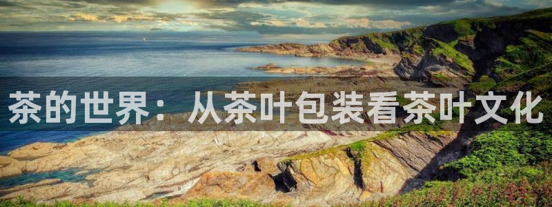 龙八国际手机登录网址