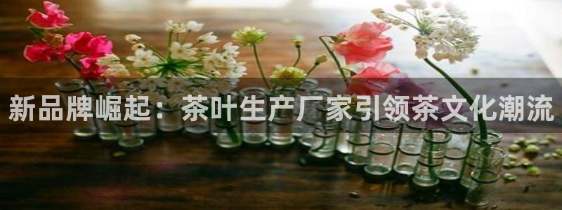 龙八国际可b48点tv