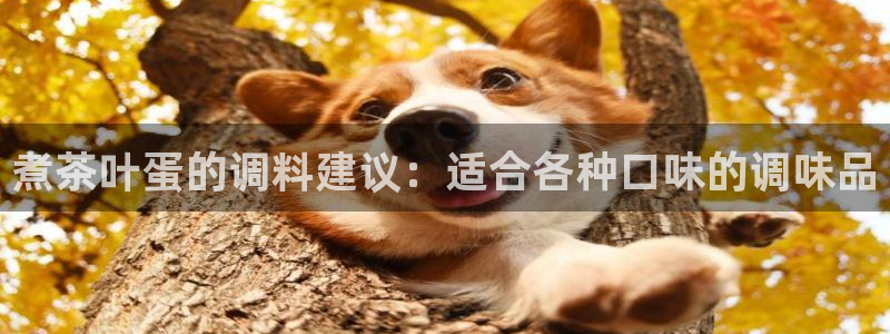 龙八国际游戏维护时间