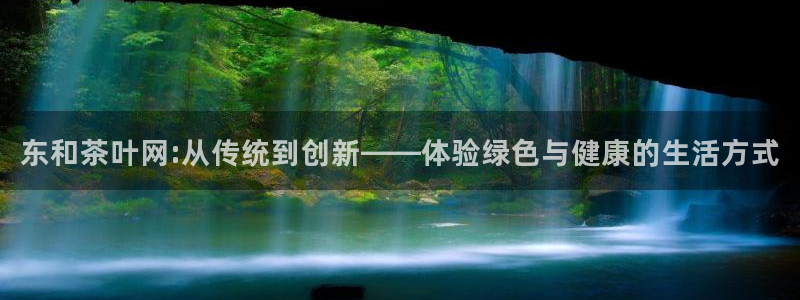 龙八国际l8520