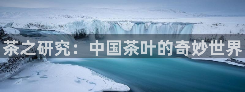 龙八国际娱乐官方