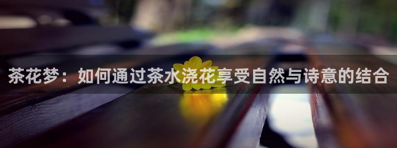 龙八国际app下载苹果