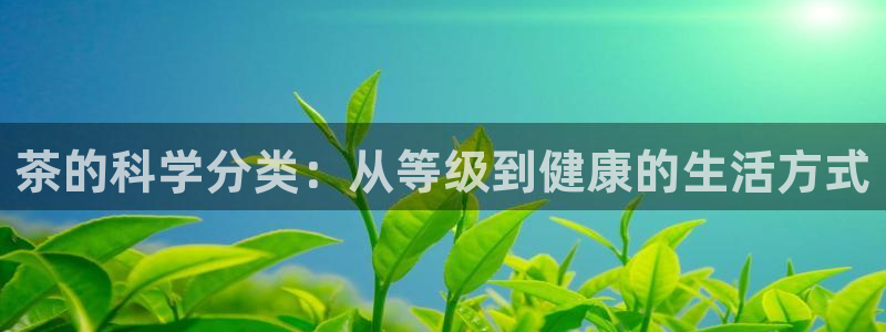 龙八国际能赢钱吗