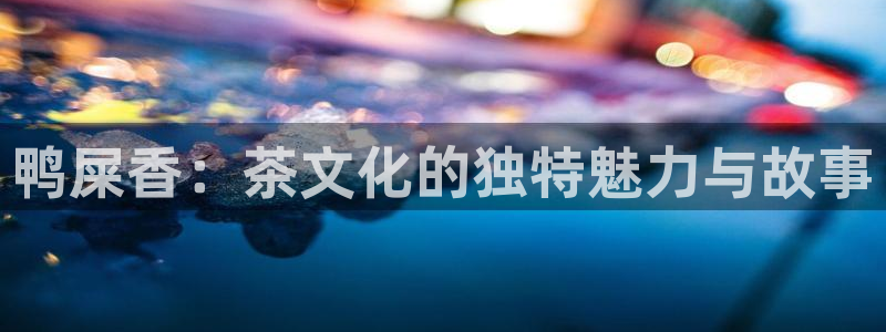 龙八国际娱乐会所