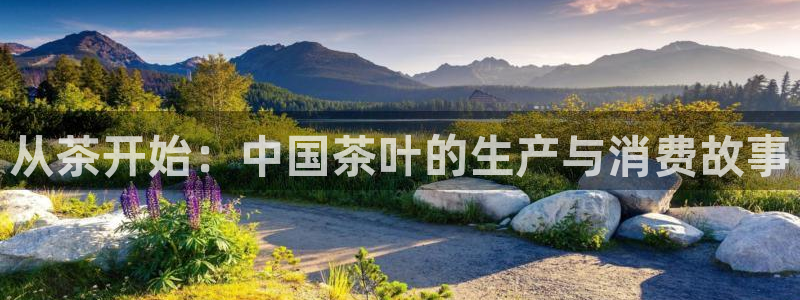 龙八国际平台真人游戏