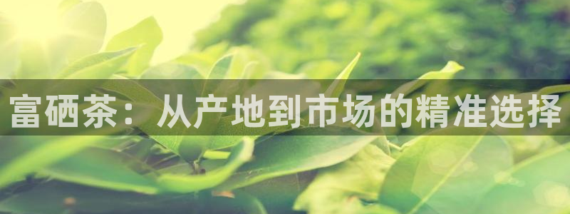 举报龙八国际