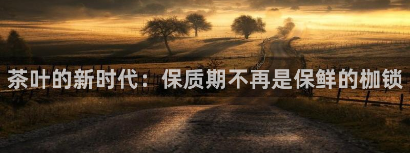 龙八国际客服