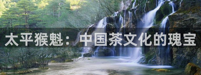 龙八国际pT娱乐官网