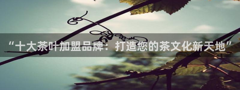 龙八国际手机版下载安卓