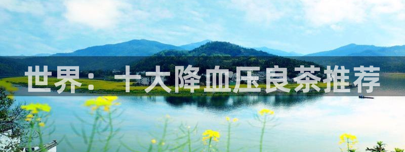 头号玩家龙八国际