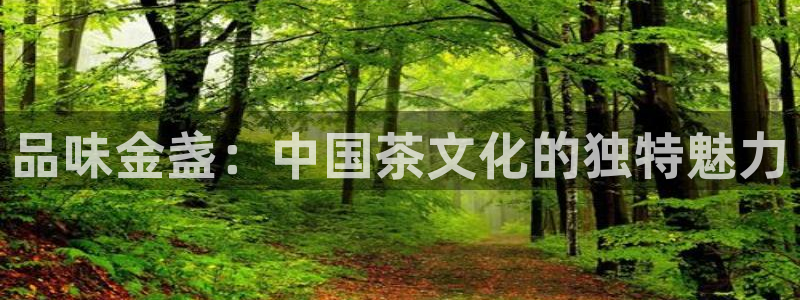 龙八国际下载官网平台