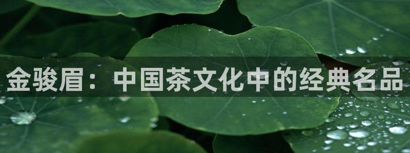 龙八国际入口