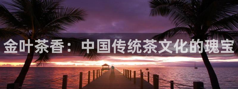 龙八国际Pt老虎机
