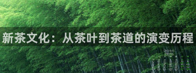 龙八国际app电话号码