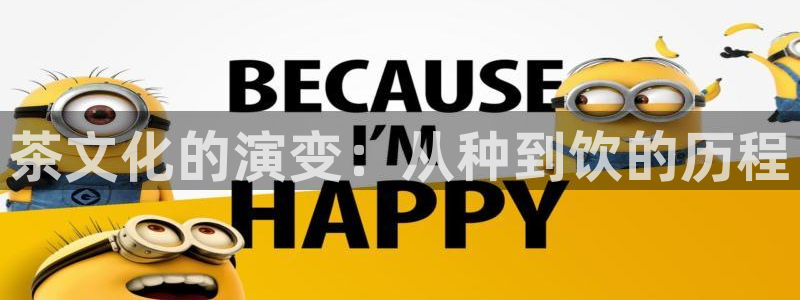 冯文戈 龙八国际集团