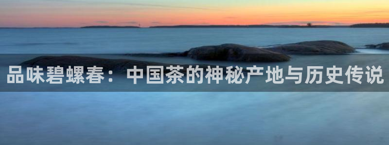 龙八国际平台yb48点top