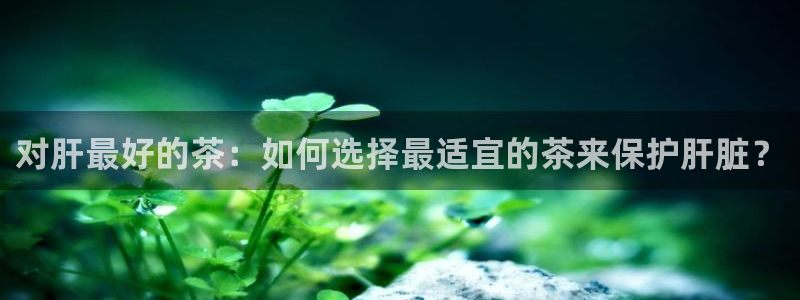 龙八国际娱乐场