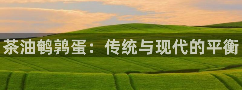 龙八国际app官网