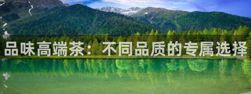 龙八国际入口