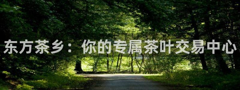 龙八国际有没有假