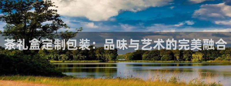龙八国际apPP