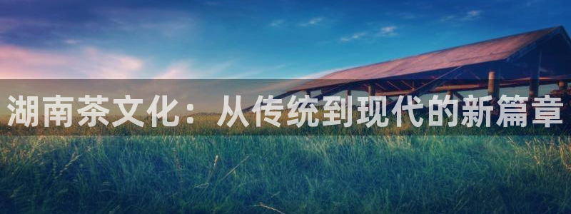 龙八国际手机下载地址