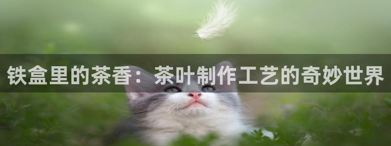 龙八国际手机版下载注册