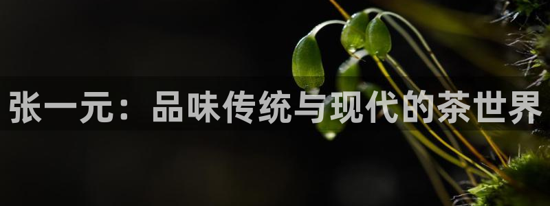 龙八国际网易云音乐