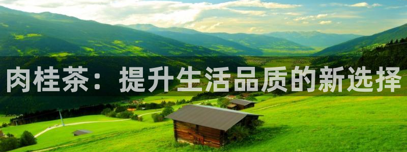 龙八国际long8