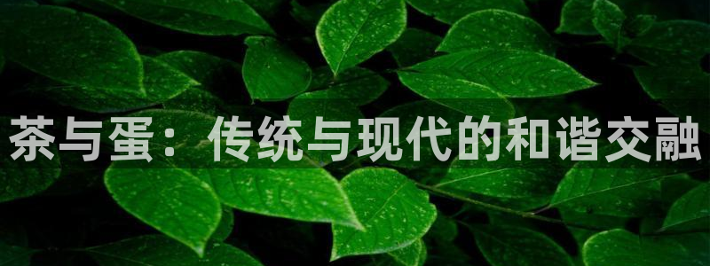 龙八国际这个平台在哪里