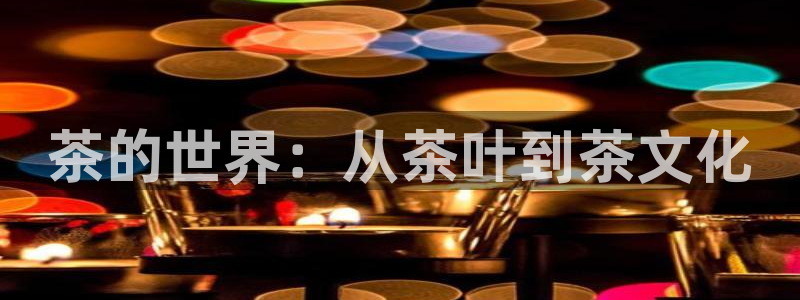 龙八国际地址