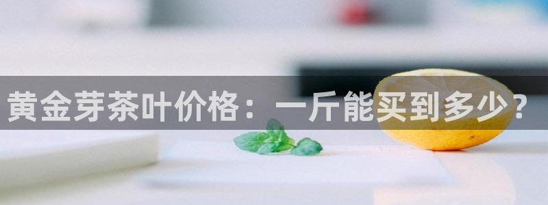 龙八国际能赢钱吗