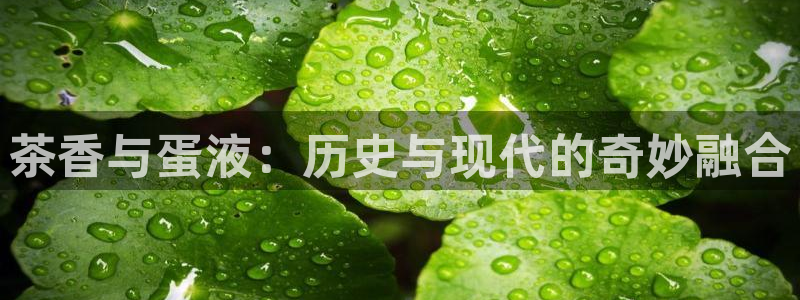 龙八国际客服