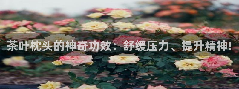 龙八国际下载链接一