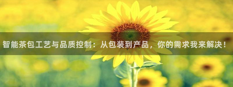 龙八国际官网入口