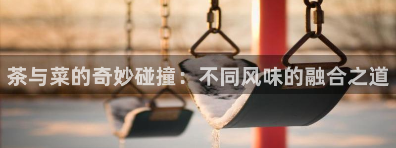l龙八国际