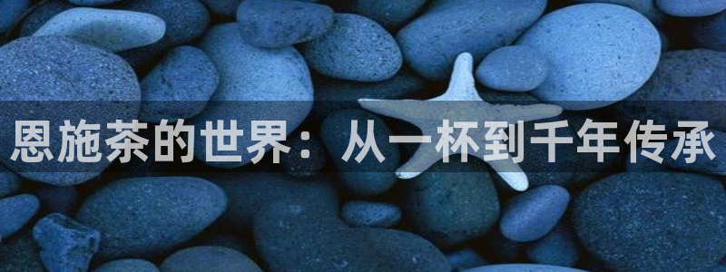 龙八国际app下载官网