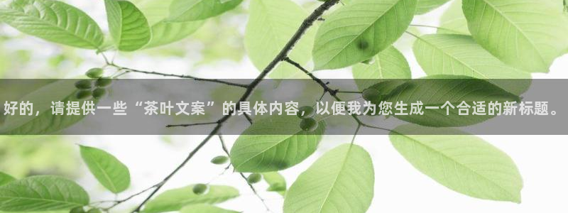 龙八国际代理