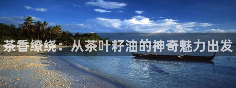 龙八国际软件下载