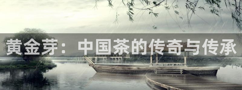 头号玩家龙八国际网址