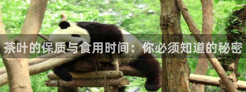 龙八国际官网苹果