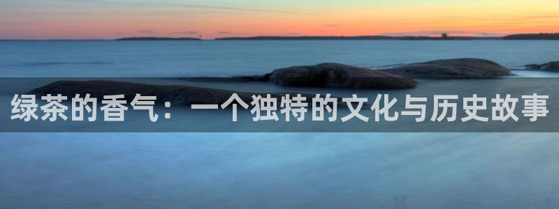 龙八国际网页long8868