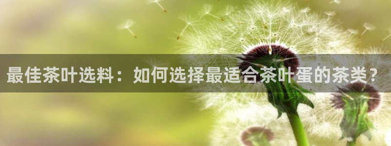 龙八国际long
