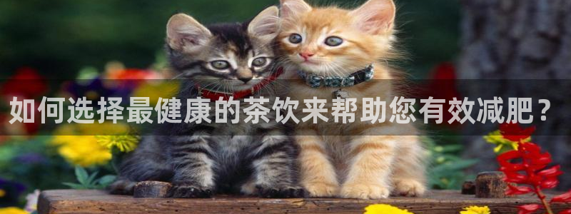 龙八国际app官网