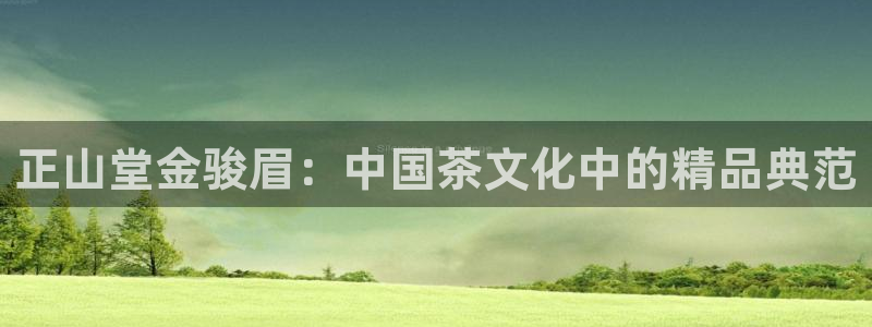 龙八国际娱乐pt老虎机